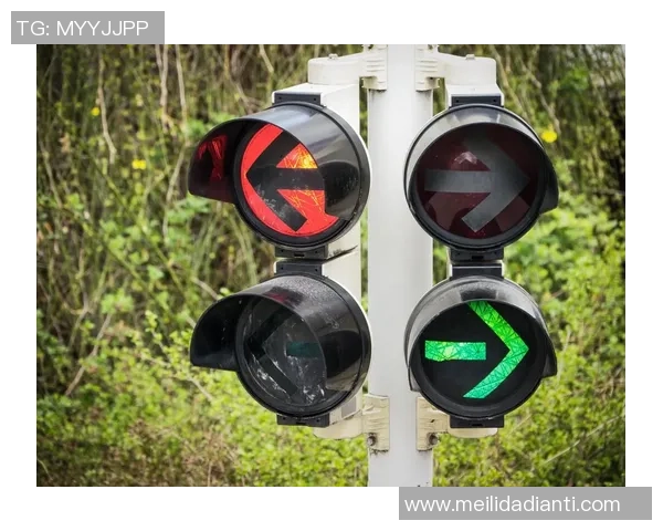 德国交通灯联合政府面临的执政挑战与未来发展路径分析 德国交通灯联合政府面临的执政挑战与未来发展路径分析